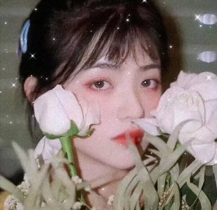 生存的机会